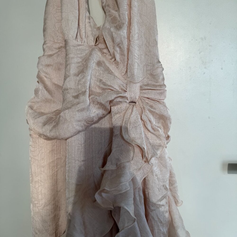 NBD Celenia Maxi Dress in Champagne Butterfly Size Small - Picture 4 of 7